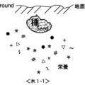 脳は創造の種と根っこ 連載8